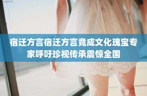 宿迁方言宿迁方言竟成文化瑰宝专家呼吁珍视传承震惊全国