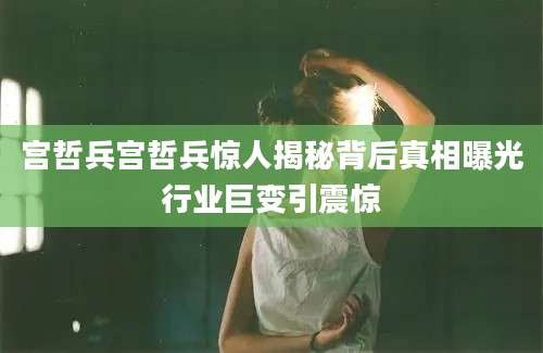 宫哲兵宫哲兵惊人揭秘背后真相曝光行业巨变引震惊