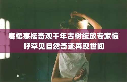 寒樱寒樱奇观千年古树绽放专家惊呼罕见自然奇迹再现世间