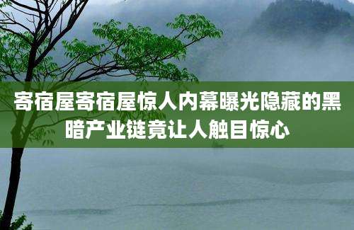 寄宿屋寄宿屋惊人内幕曝光隐藏的黑暗产业链竟让人触目惊心