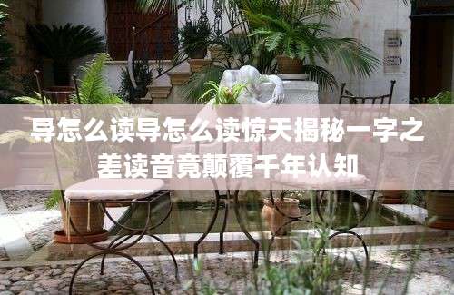 导怎么读导怎么读惊天揭秘一字之差读音竟颠覆千年认知