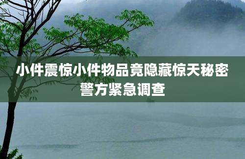 小件震惊小件物品竟隐藏惊天秘密警方紧急调查