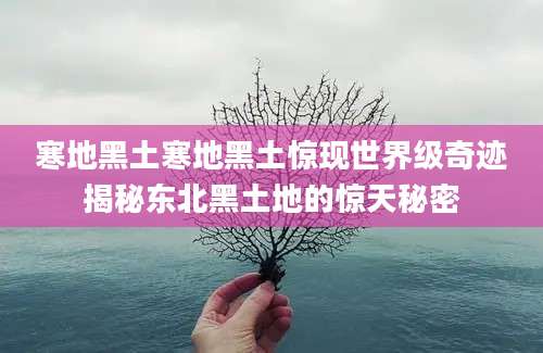 寒地黑土寒地黑土惊现世界级奇迹揭秘东北黑土地的惊天秘密