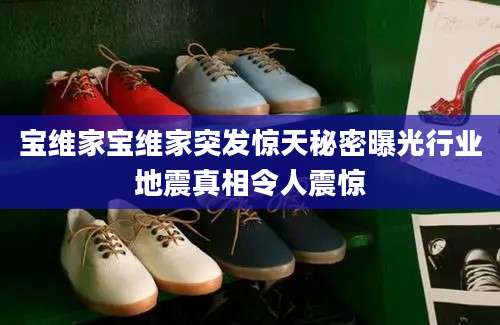 宝维家宝维家突发惊天秘密曝光行业地震真相令人震惊