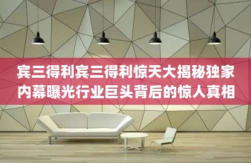 宾三得利宾三得利惊天大揭秘独家内幕曝光行业巨头背后的惊人真相