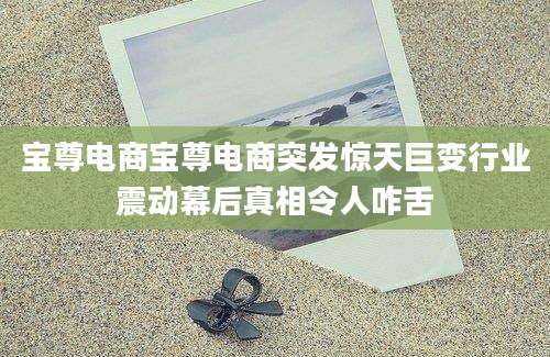 宝尊电商宝尊电商突发惊天巨变行业震动幕后真相令人咋舌
