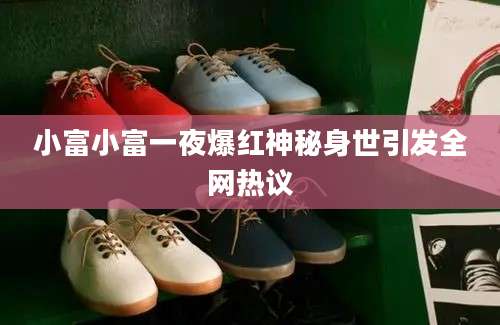 小富小富一夜爆红神秘身世引发全网热议