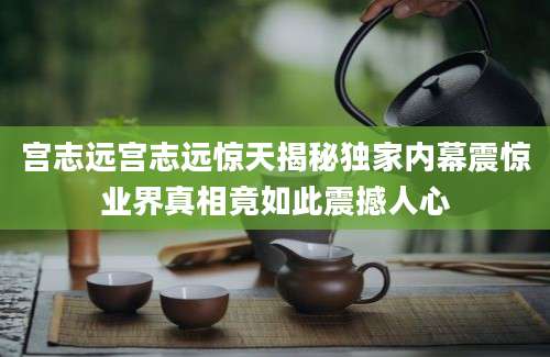 宫志远宫志远惊天揭秘独家内幕震惊业界真相竟如此震撼人心