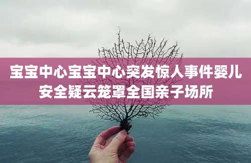 宝宝中心宝宝中心突发惊人事件婴儿安全疑云笼罩全国亲子场所