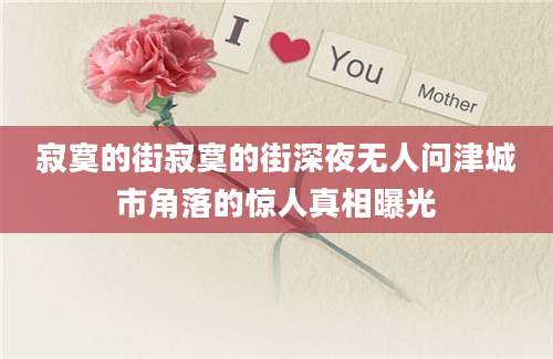 寂寞的街寂寞的街深夜无人问津城市角落的惊人真相曝光
