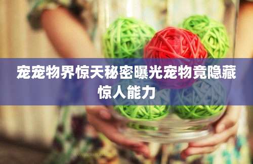 宠宠物界惊天秘密曝光宠物竟隐藏惊人能力
