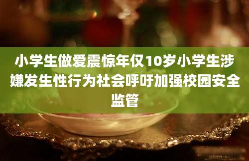 小学生做爱震惊年仅10岁小学生涉嫌发生性行为社会呼吁加强校园安全监管