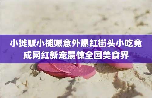 小摊贩小摊贩意外爆红街头小吃竟成网红新宠震惊全国美食界