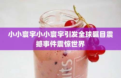 小小寰宇小小寰宇引发全球瞩目震撼事件震惊世界