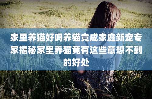 家里养猫好吗养猫竟成家庭新宠专家揭秘家里养猫竟有这些意想不到的好处