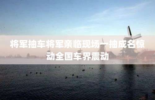 将军抽车将军亲临现场一抽成名惊动全国车界震动