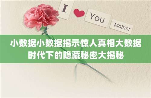 小数据小数据揭示惊人真相大数据时代下的隐藏秘密大揭秘