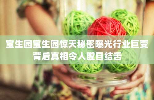 宝生园宝生园惊天秘密曝光行业巨变背后真相令人瞠目结舌