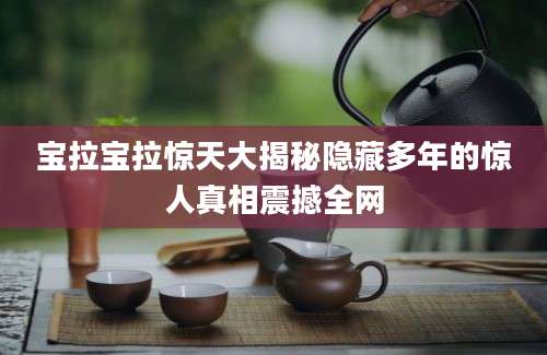 宝拉宝拉惊天大揭秘隐藏多年的惊人真相震撼全网