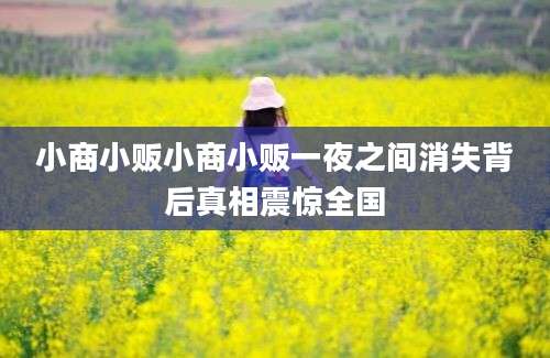 小商小贩小商小贩一夜之间消失背后真相震惊全国