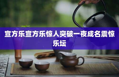 宣方乐宣方乐惊人突破一夜成名震惊乐坛