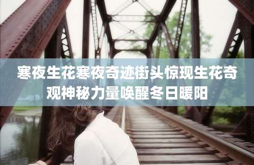 寒夜生花寒夜奇迹街头惊现生花奇观神秘力量唤醒冬日暖阳