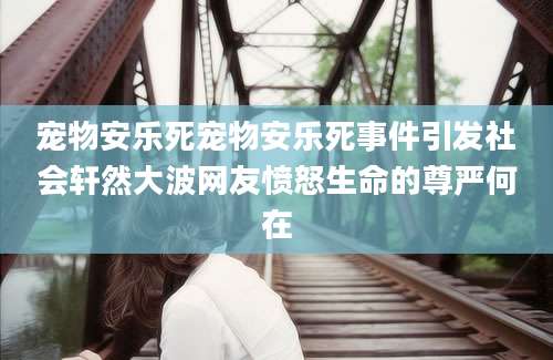 宠物安乐死宠物安乐死事件引发社会轩然大波网友愤怒生命的尊严何在