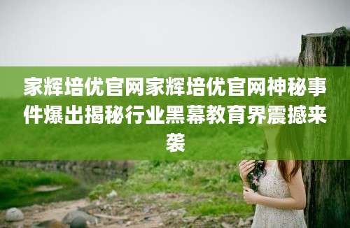 家辉培优官网家辉培优官网神秘事件爆出揭秘行业黑幕教育界震撼来袭