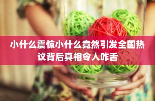 小什么震惊小什么竟然引发全国热议背后真相令人咋舌