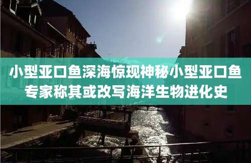 小型亚口鱼深海惊现神秘小型亚口鱼专家称其或改写海洋生物进化史
