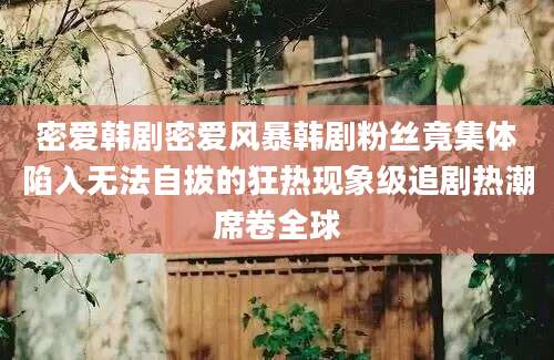 密爱韩剧密爱风暴韩剧粉丝竟集体陷入无法自拔的狂热现象级追剧热潮席卷全球