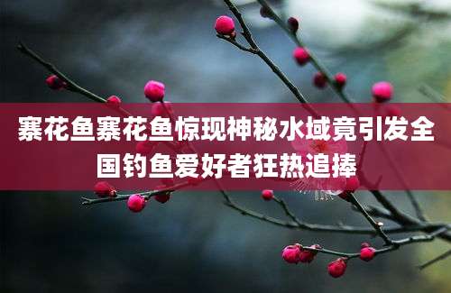 寨花鱼寨花鱼惊现神秘水域竟引发全国钓鱼爱好者狂热追捧