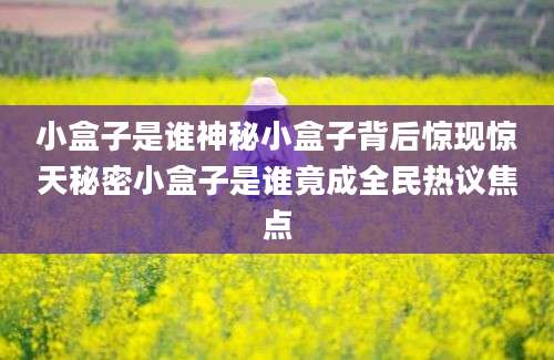 小盒子是谁神秘小盒子背后惊现惊天秘密小盒子是谁竟成全民热议焦点
