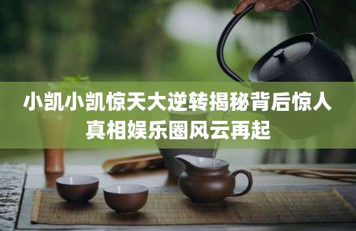 小凯小凯惊天大逆转揭秘背后惊人真相娱乐圈风云再起