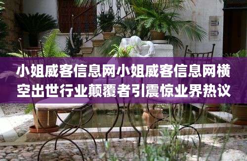 小姐威客信息网小姐威客信息网横空出世行业颠覆者引震惊业界热议