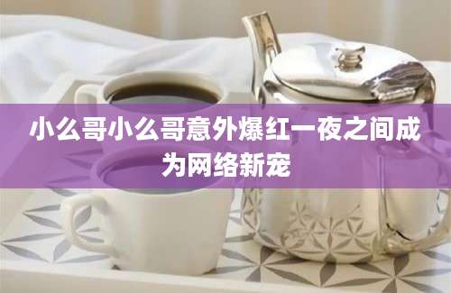 小么哥小么哥意外爆红一夜之间成为网络新宠