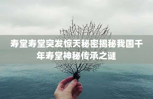 寿堂寿堂突发惊天秘密揭秘我国千年寿堂神秘传承之谜