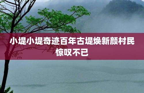 小堤小堤奇迹百年古堤焕新颜村民惊叹不已