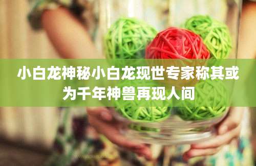 小白龙神秘小白龙现世专家称其或为千年神兽再现人间