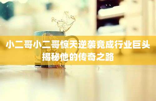 小二哥小二哥惊天逆袭竟成行业巨头揭秘他的传奇之路