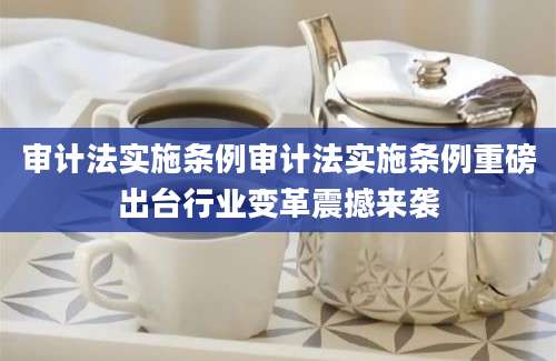 审计法实施条例审计法实施条例重磅出台行业变革震撼来袭