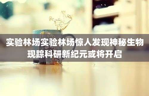 实验林场实验林场惊人发现神秘生物现踪科研新纪元或将开启