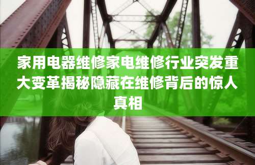 家用电器维修家电维修行业突发重大变革揭秘隐藏在维修背后的惊人真相