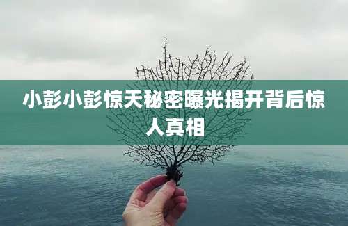 小彭小彭惊天秘密曝光揭开背后惊人真相