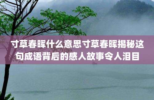 寸草春晖什么意思寸草春晖揭秘这句成语背后的感人故事令人泪目