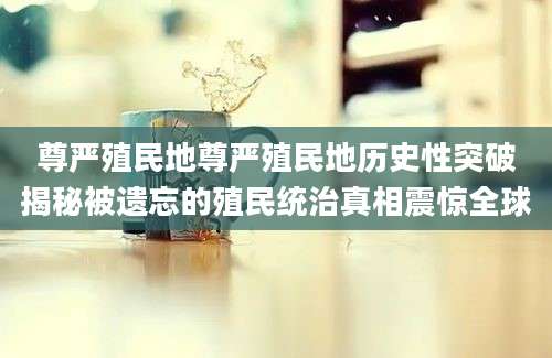 尊严殖民地尊严殖民地历史性突破揭秘被遗忘的殖民统治真相震惊全球