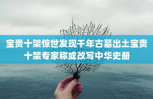 宝贵十架惊世发现千年古墓出土宝贵十架专家称或改写中华史册