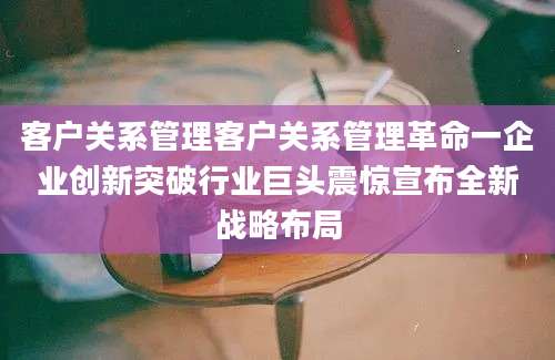 客户关系管理客户关系管理革命一企业创新突破行业巨头震惊宣布全新战略布局