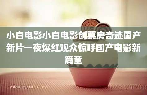 小白电影小白电影创票房奇迹国产新片一夜爆红观众惊呼国产电影新篇章