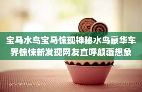 宝马水鸟宝马惊现神秘水鸟豪华车界惊悚新发现网友直呼颠覆想象